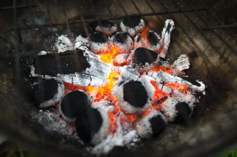 White Charcoal, Black Magic: What Japanese Binchotan Does to Your Grill That Kingsford Simply Can't