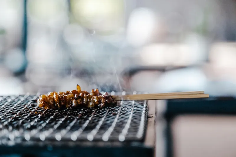 The Robata Revolution: Why Serious Home Cooks Are Ripping Out Their Gas Grills and Going Full Japanese